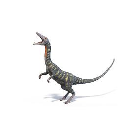 Coelophysis Animated model